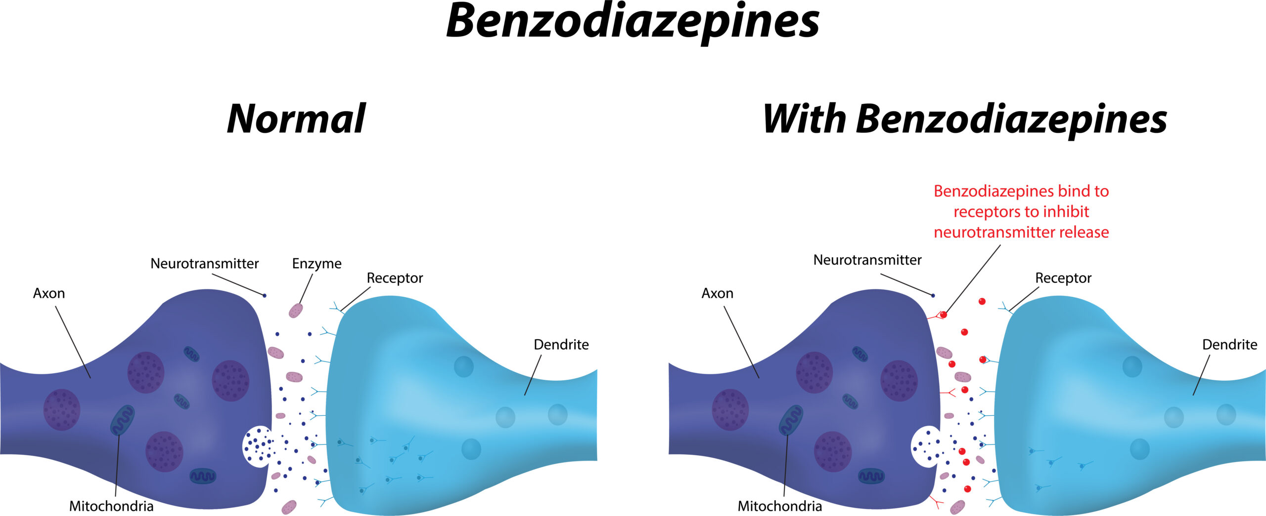 Benzodiazepines - diagram showing the effects on neurotransmitters.