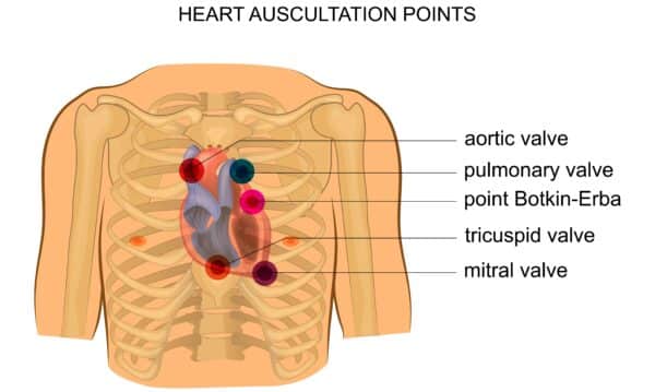 The Objective Assessment | ACLS Resources | ACLS Certification Association