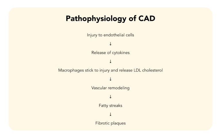CAD vs PAD: Coronary vs Peripheral Artery Disease