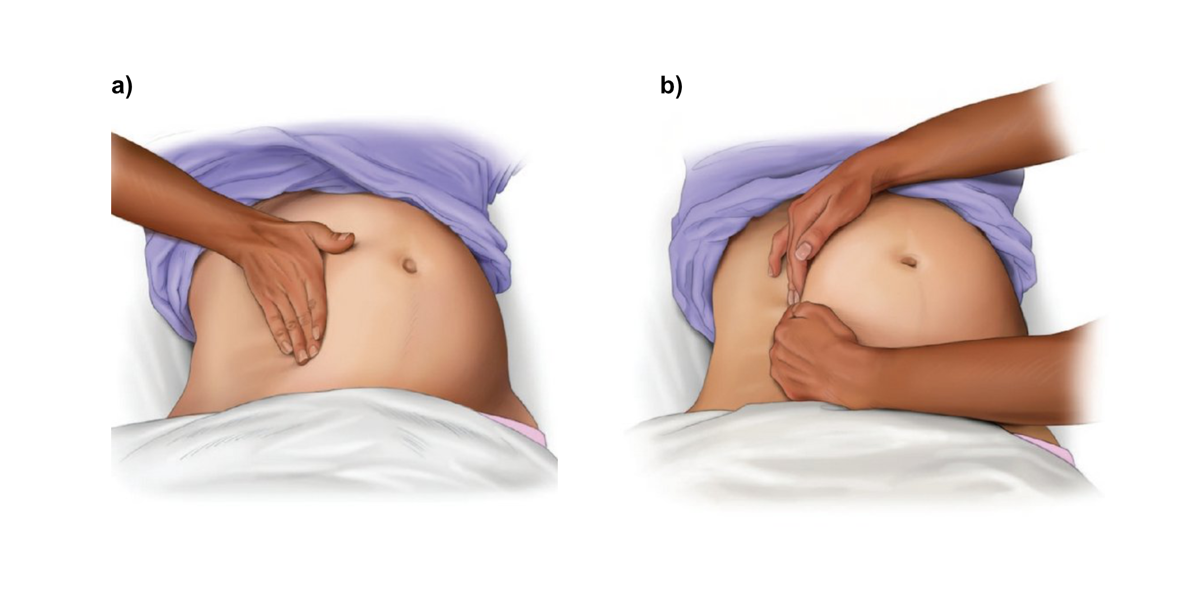 Manual displacement of uterus.