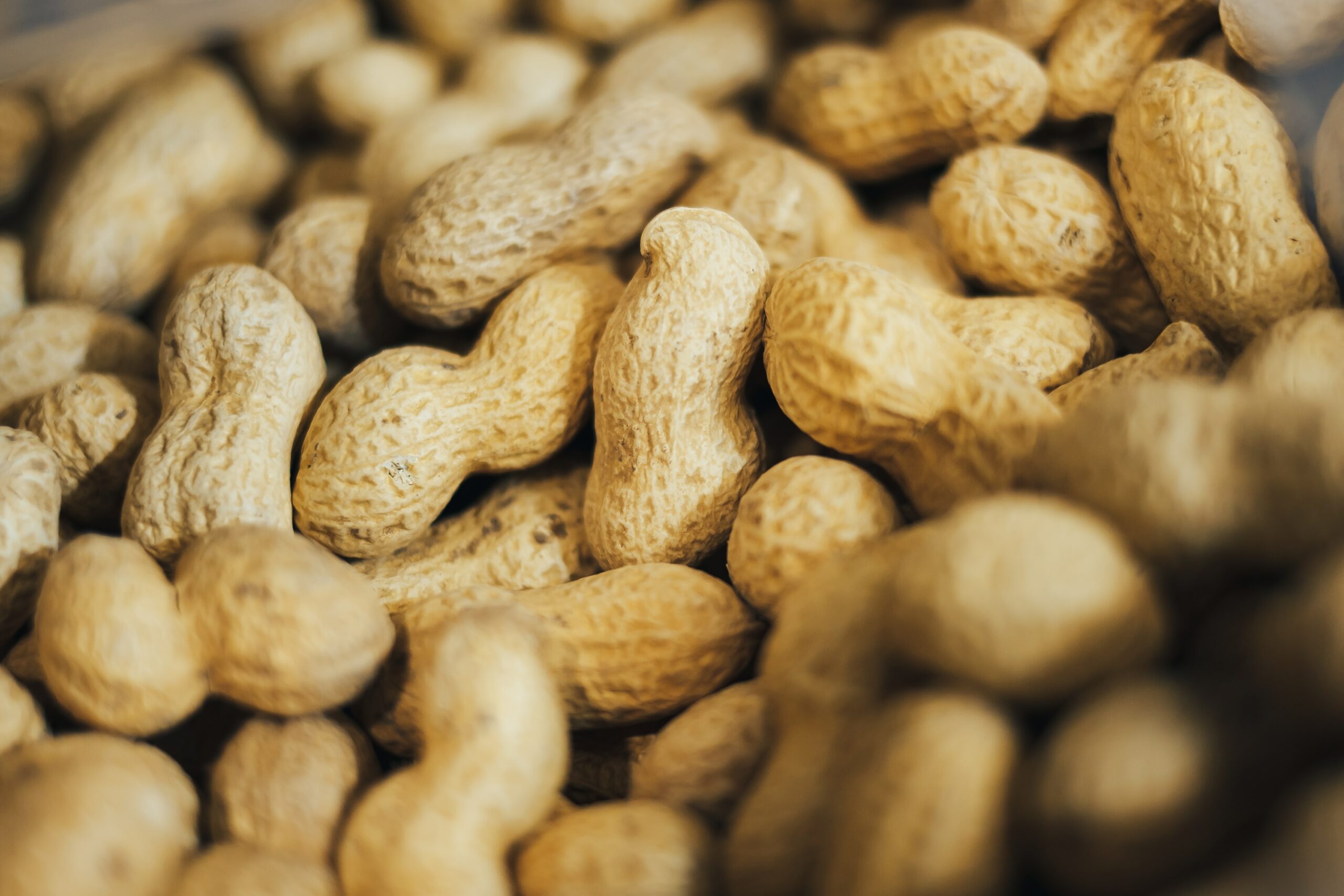 Peanuts can trigger food-induced anaphylaxis.