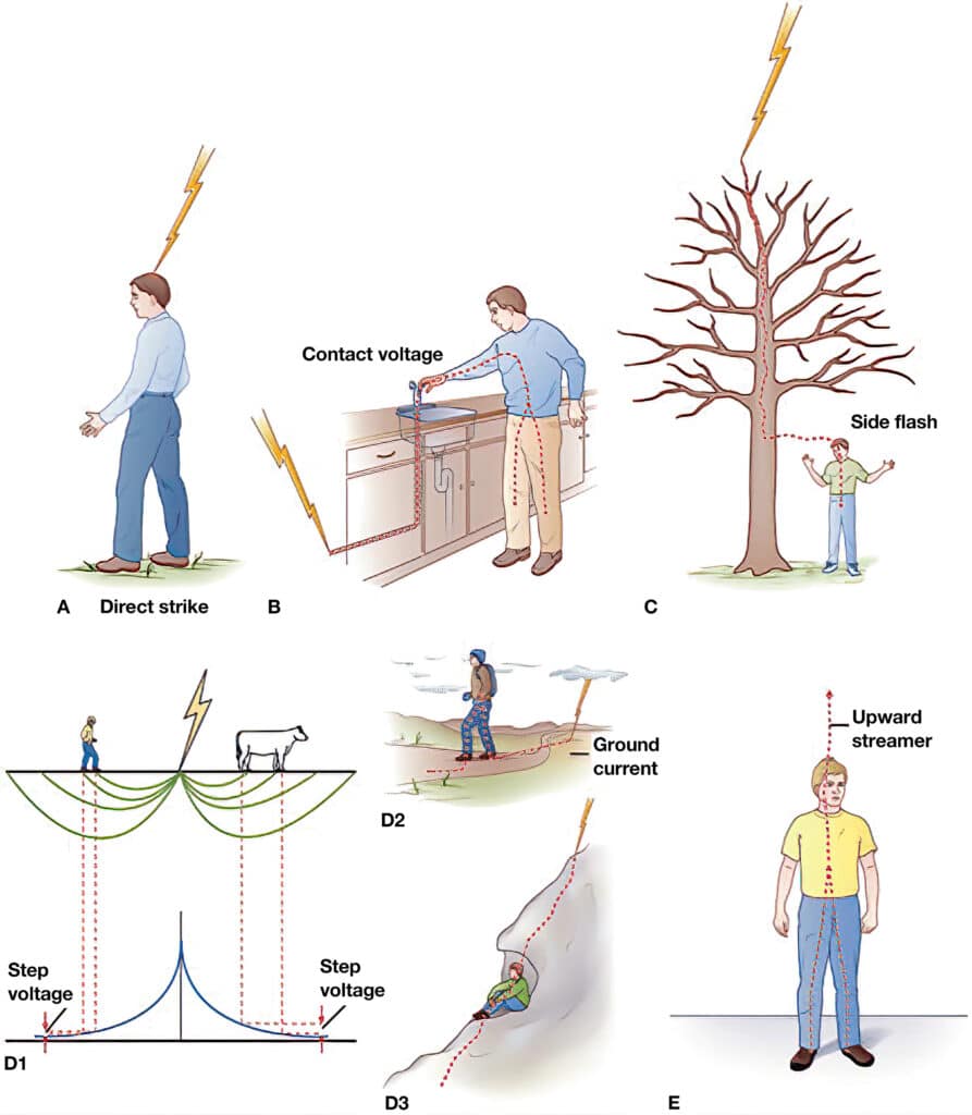Topic - Pathophysiology- Electrical Shock and Cardiac Arrest | ACLS EP ...