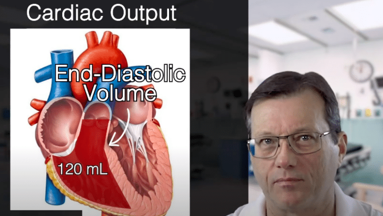 Cardiac Output Formula | ACLS Certification Association