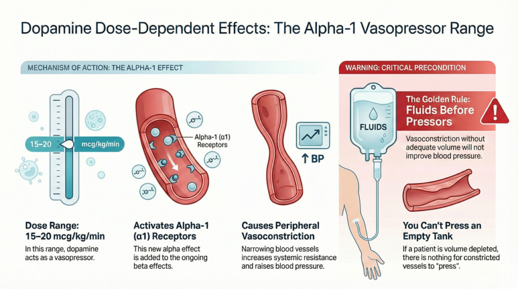 Infographic showing dopamine dose-dependent alpha-1 vasopressor effects at 15–20 mcg/kg/min, highlighting peripheral vasoconstriction and the importance of giving fluids before pressors.